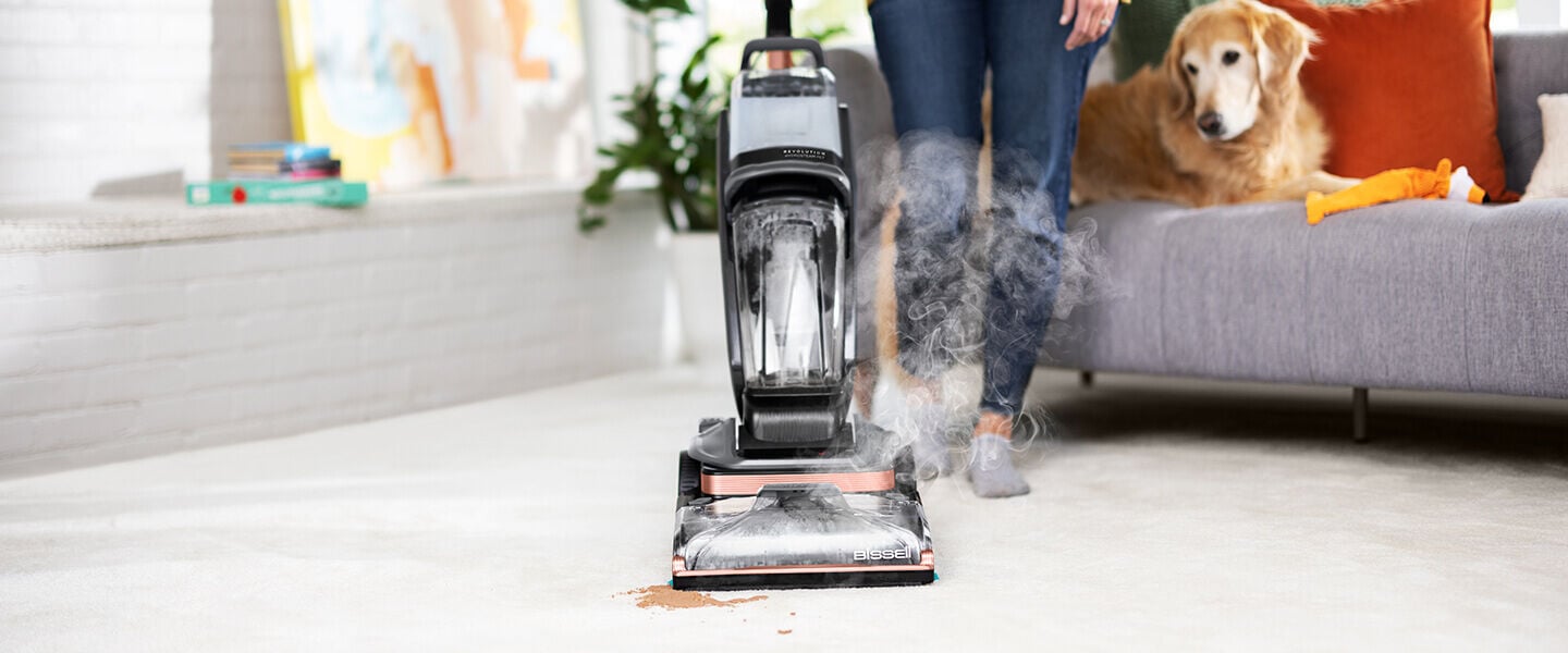 Steam Cleaning for Carpets and Rugs